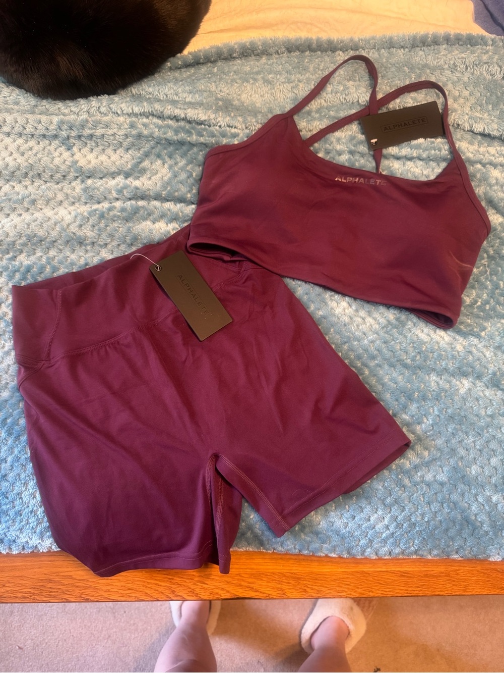 Alphalete Deep plum Seamless Sports Bra & High-Waist Shorts Set NWT LARGE